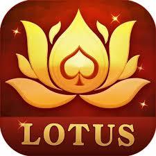rummy leader old version download